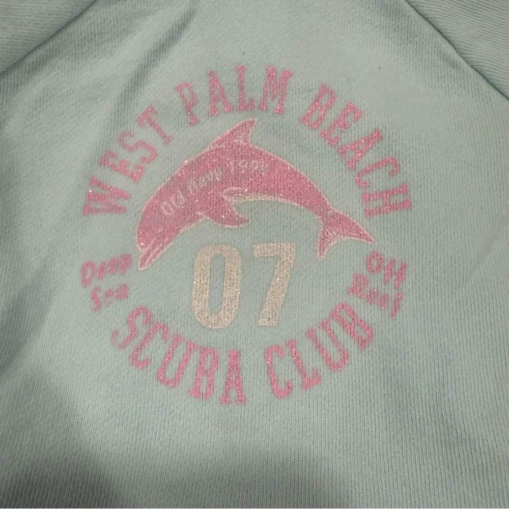 Y2K Old Navy Light Blue/Aqua Kids Hoodie with Pink Dolphin Size 12-18 Months